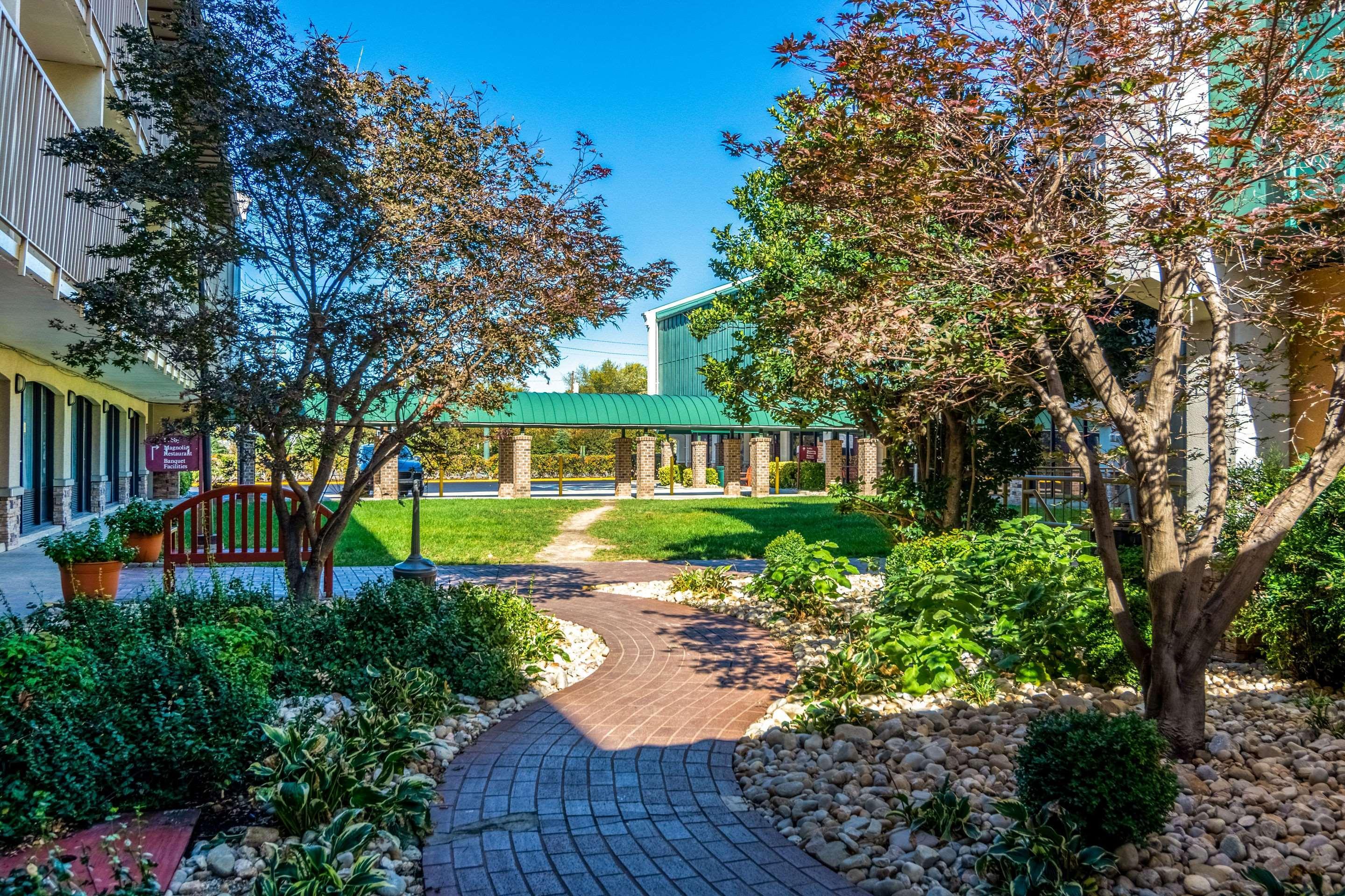 Rodeway Inn Central Richmond Dış mekan fotoğraf