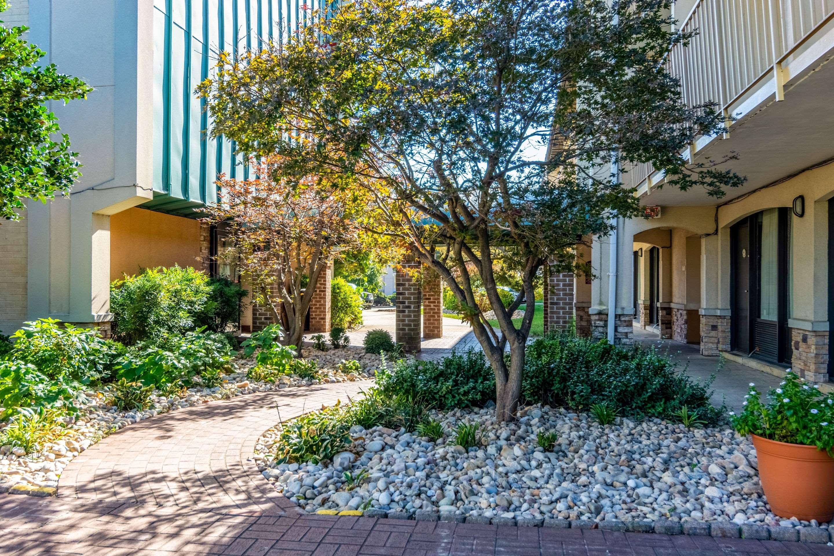 Rodeway Inn Central Richmond Dış mekan fotoğraf